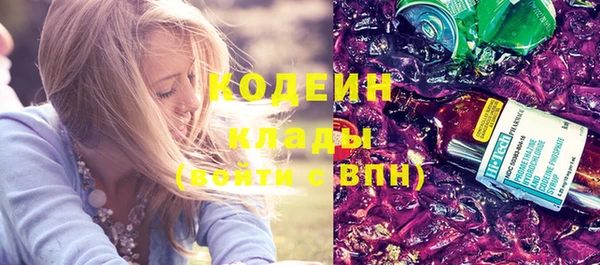 крисы Киренск