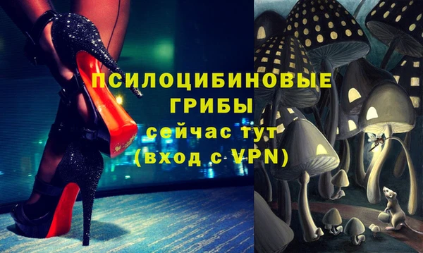 мет Кинешма